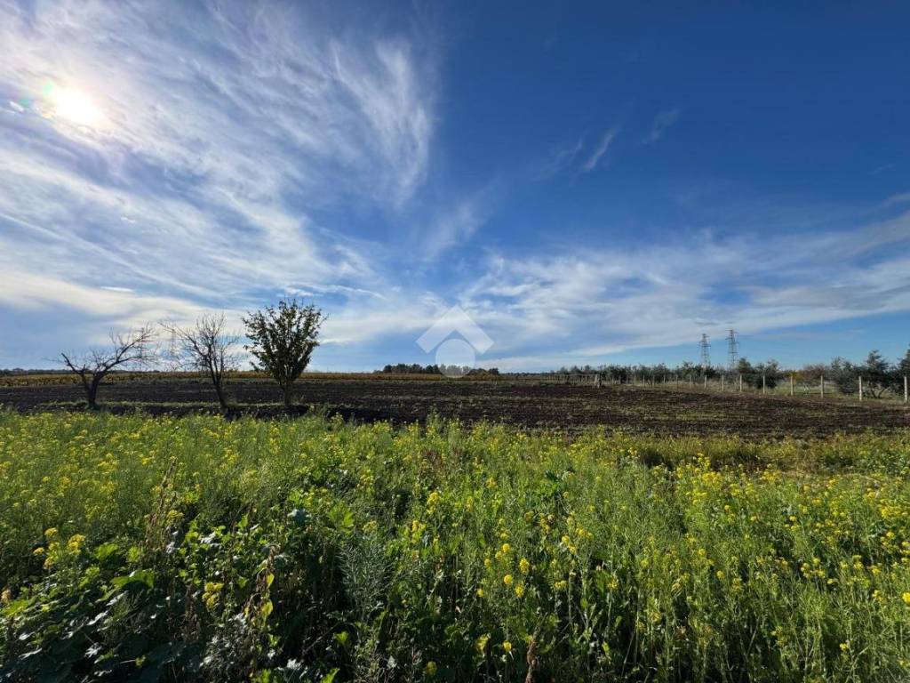 Terreno a Ardea in Via Ardeatina km 24.700 - Foto 3