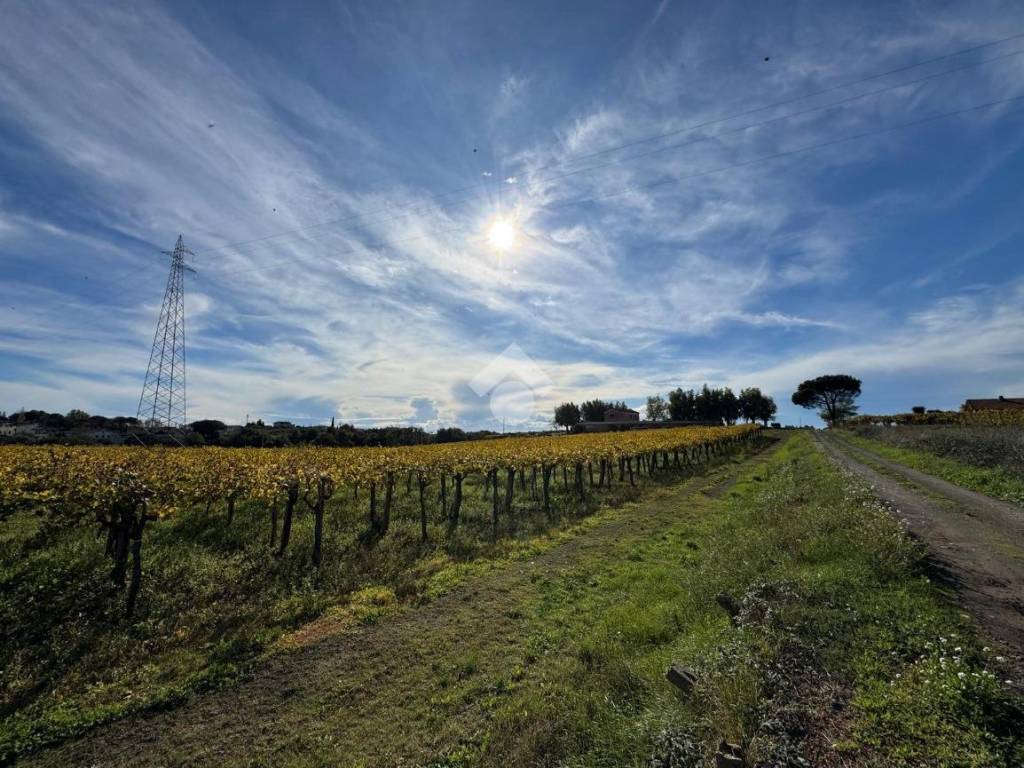 Terreno a Ardea in Via Ardeatina km 24.700 - Foto 5