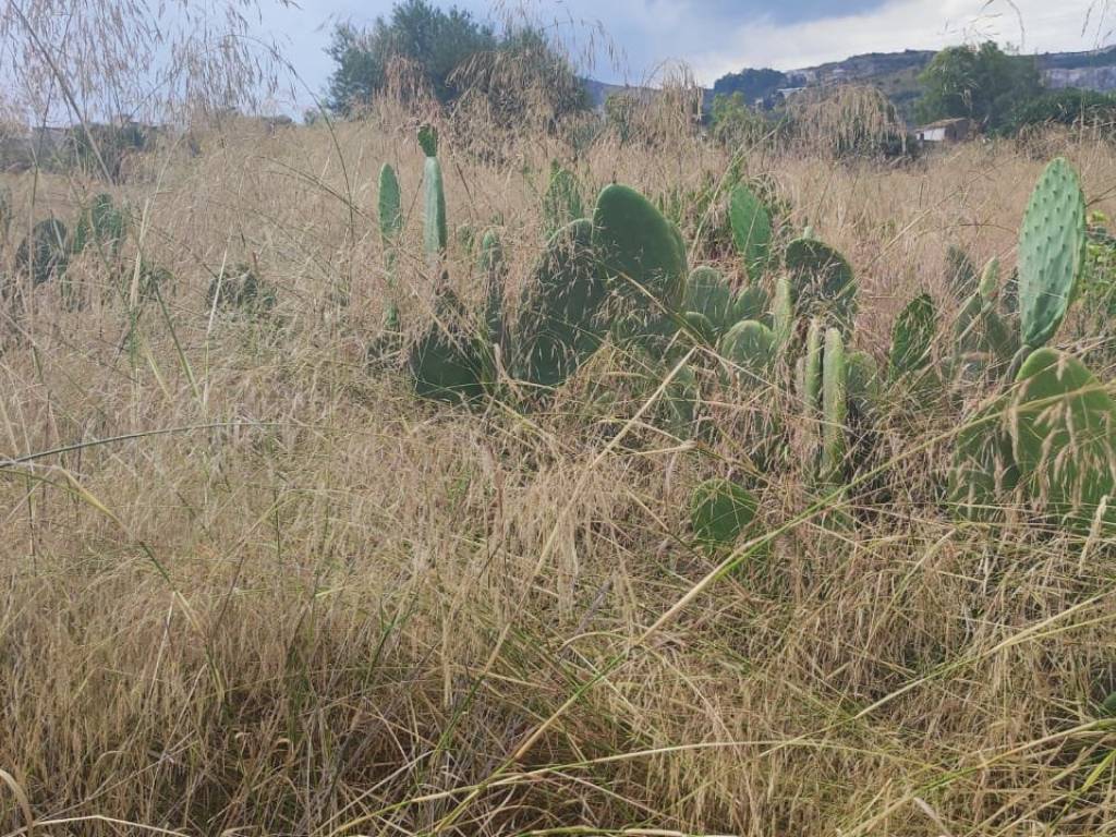 Terreno a Bagheria in Strada Provinciale Vallone del Fonditore - Foto 4