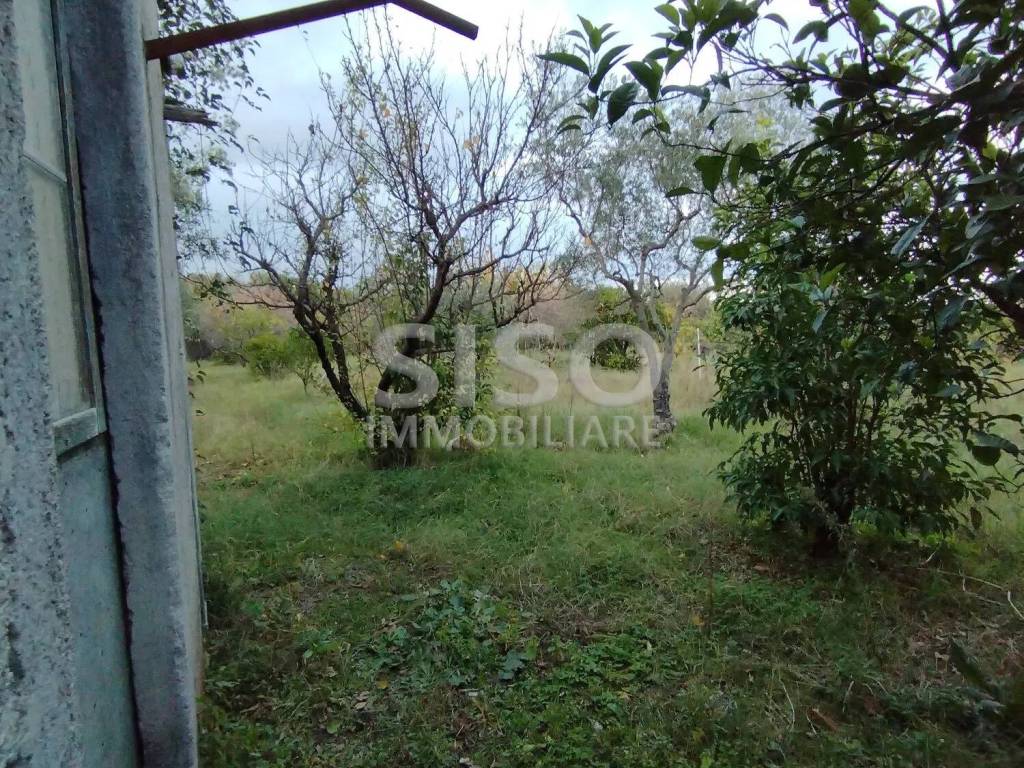 Terreno a Zafferana etnea in Via Fossa Gelata - Foto 3