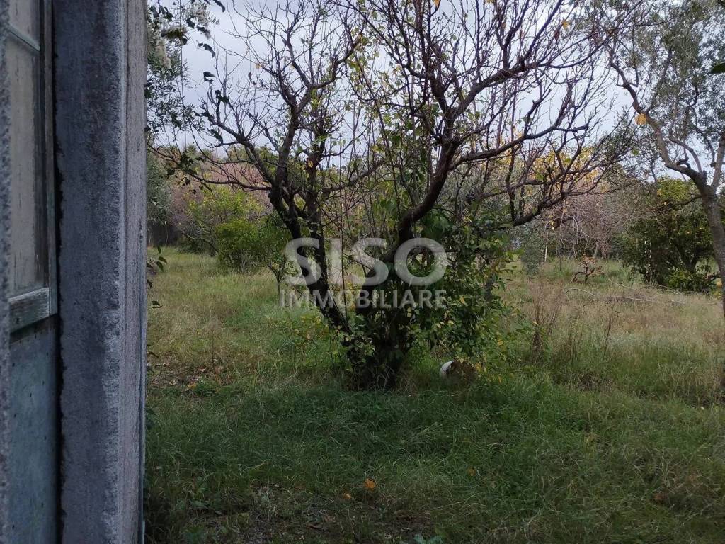 Terreno a Zafferana etnea in Via Fossa Gelata - Foto 5