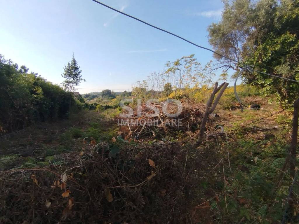 Terreno a Zafferana etnea in Via P.M. Rosso Di San Secondo, 26 - Foto 2