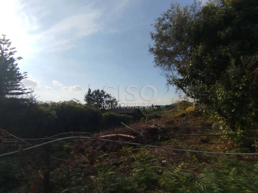 Terreno a Zafferana etnea in Via P.M. Rosso Di San Secondo, 26 - Foto 4