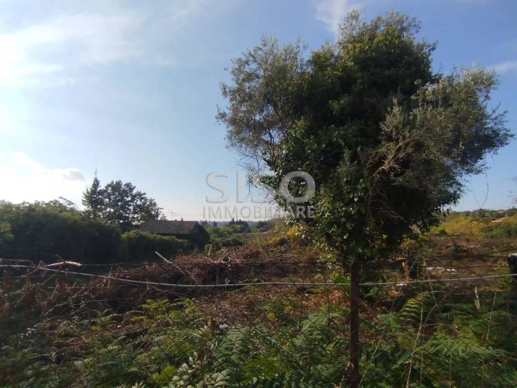 Terreno a Zafferana etnea in Via P.M. Rosso Di San Secondo, 26 - Foto 5