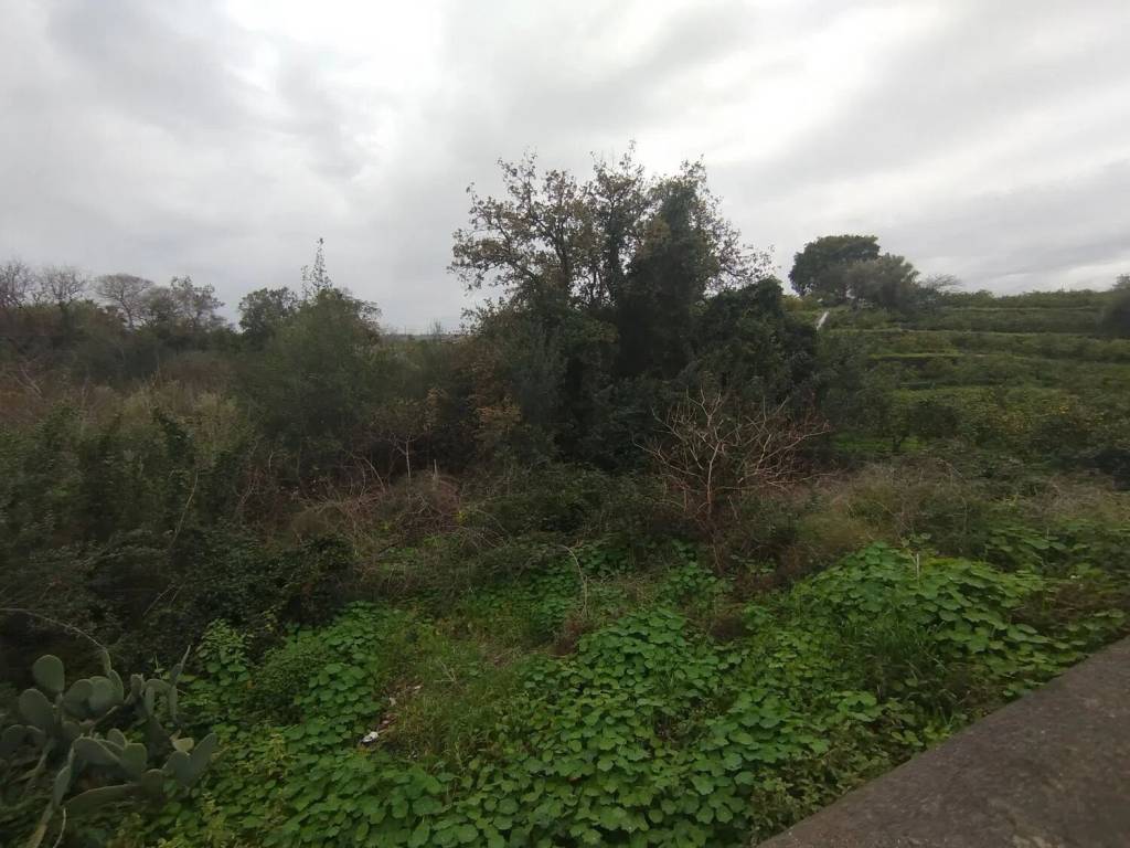 Terreno a Acireale in Via Terre Liberate - Foto 5