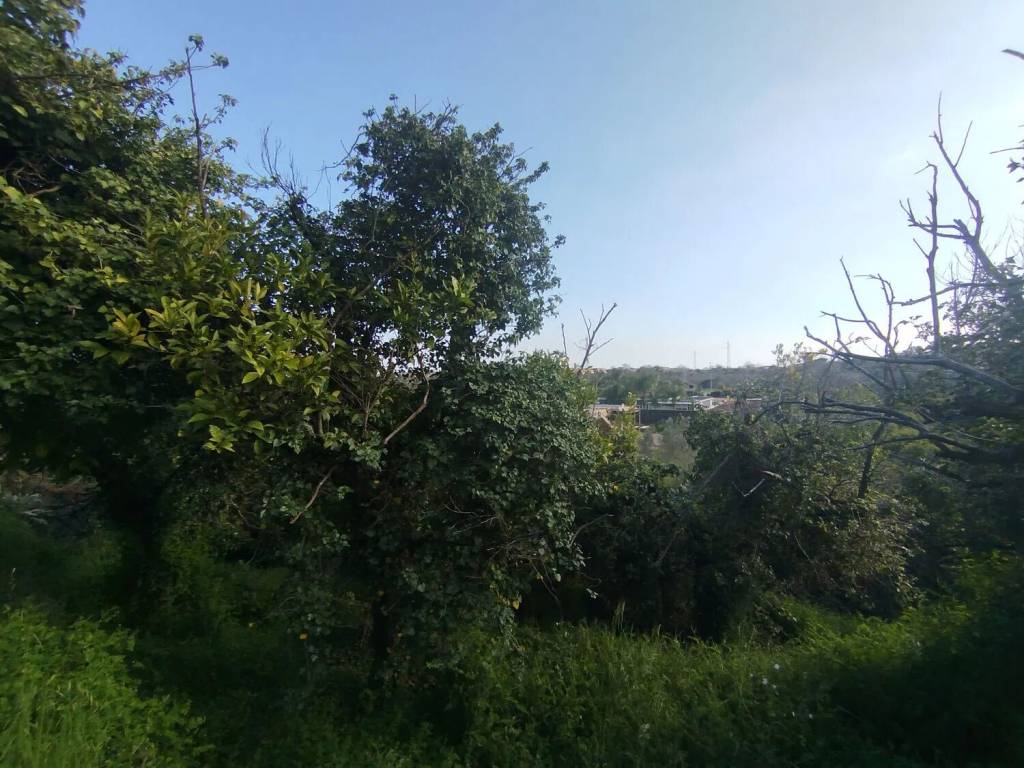 Terreno a Acireale in Via Roccamena - Foto 4