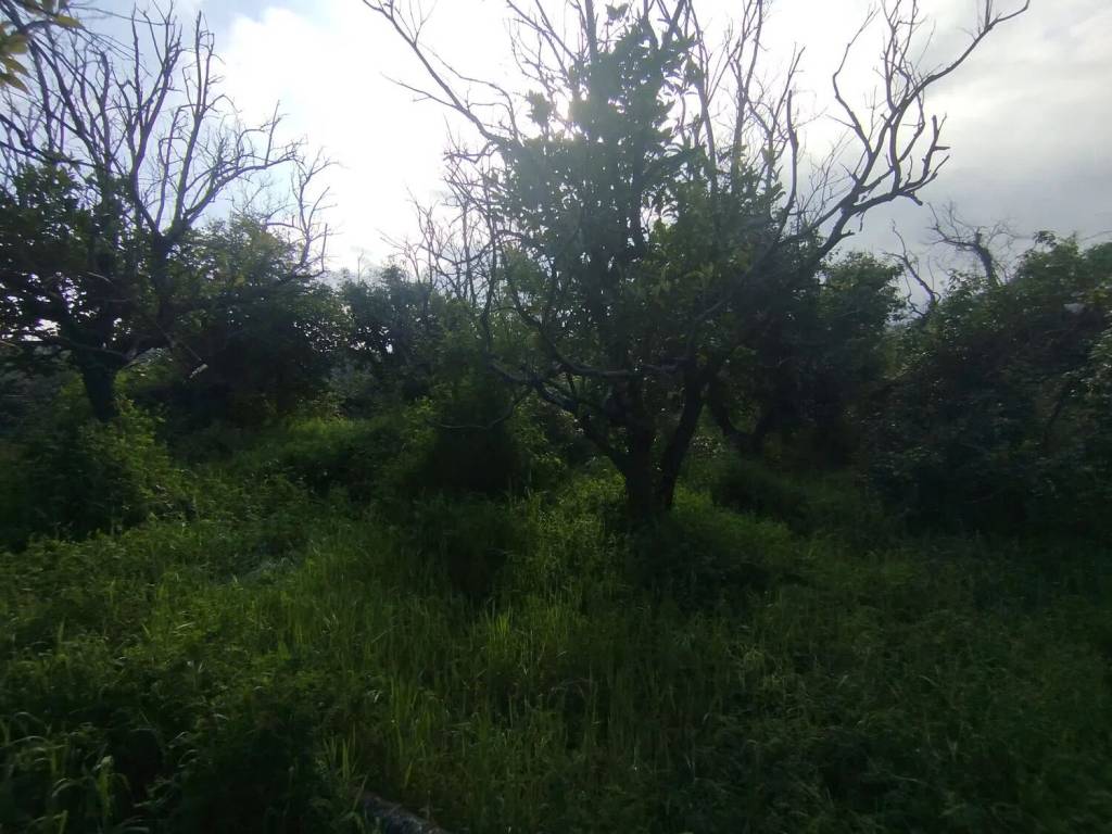Terreno a Acireale in Via Roccamena - Foto 5