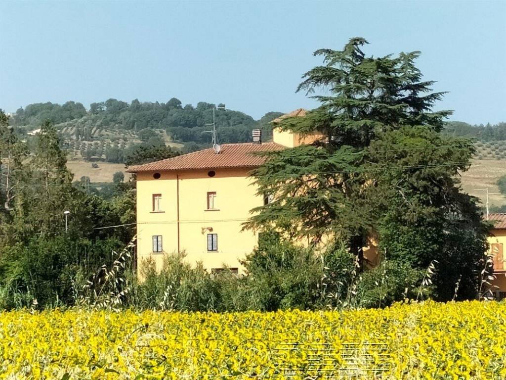 Appartamento a Umbertide in MONTECASTELLI - Foto 3