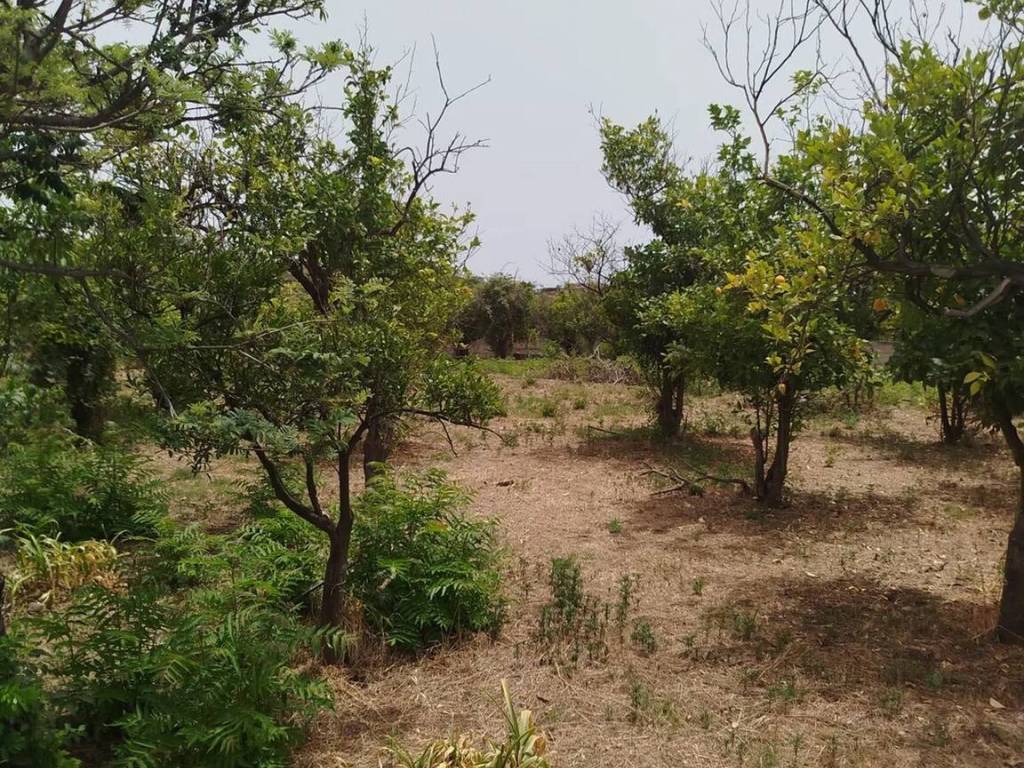 Terreno a Acireale in Via Palombaro - Foto 3
