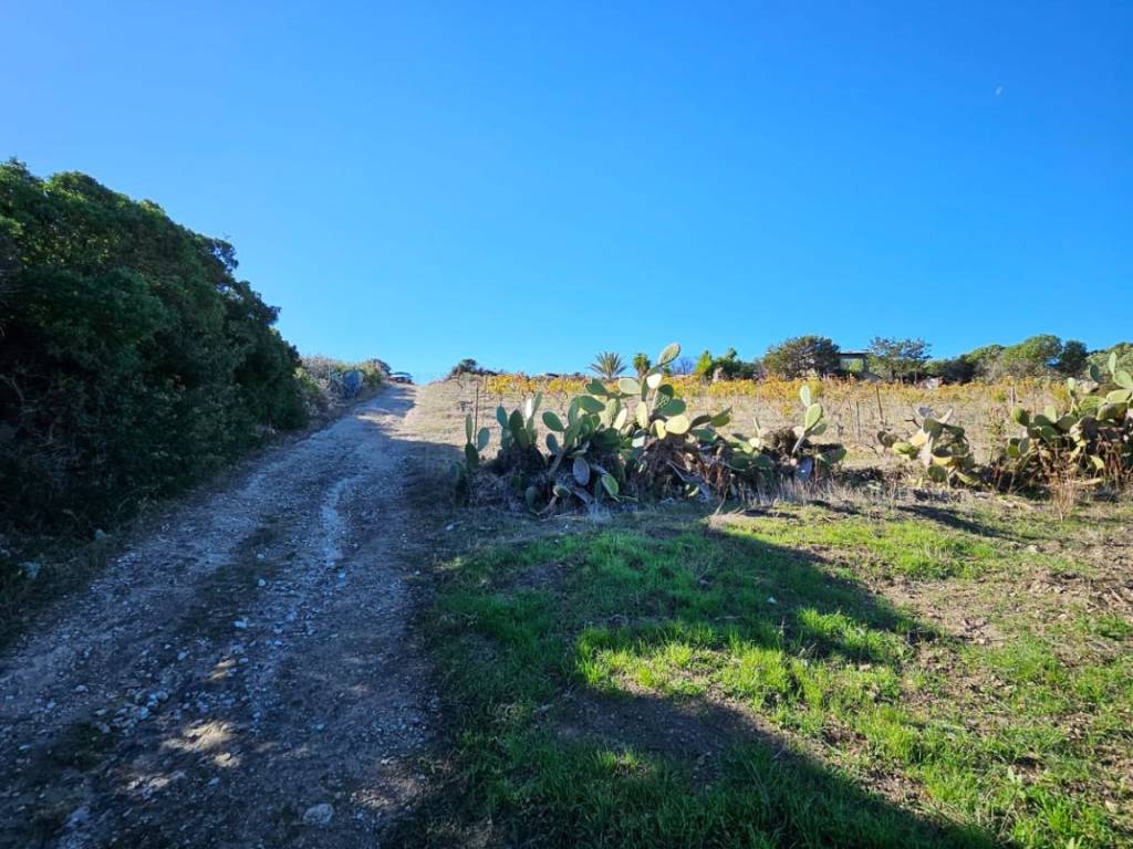 Terreno a Castelsardo in Località Li Paddimi - Foto 3