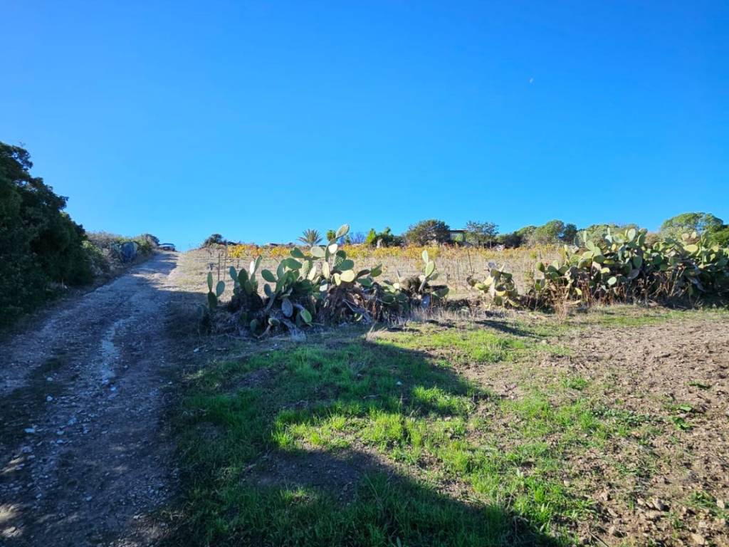 Terreno a Castelsardo in Località Li Paddimi - Foto 4