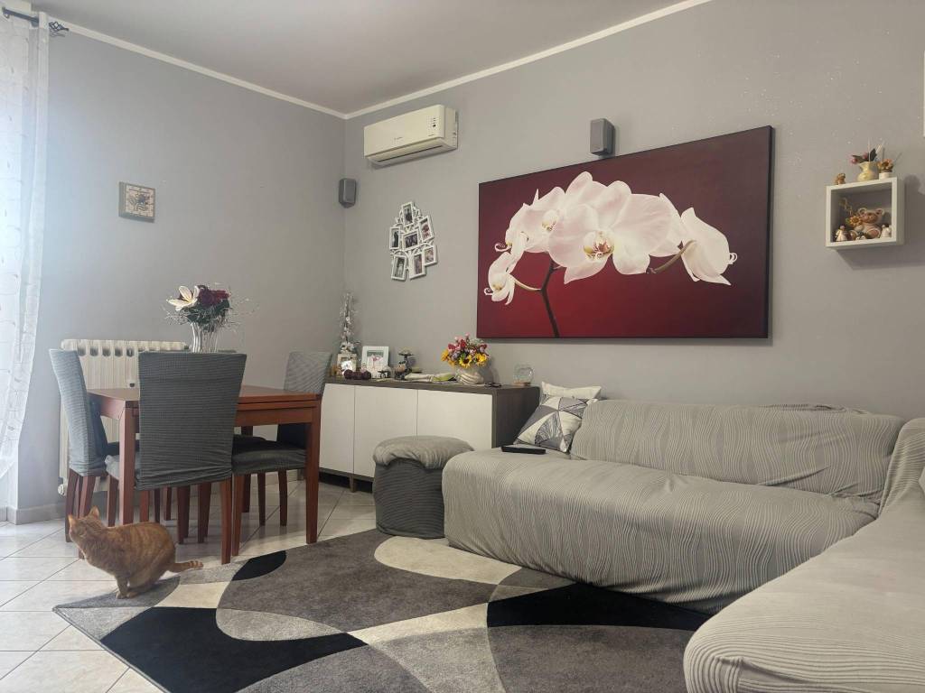 Appartamento a Cameri - Foto 4