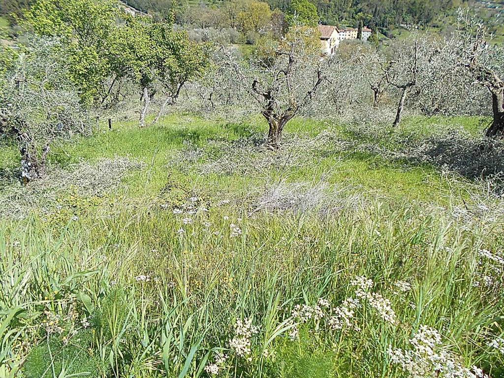Terreno a Pistoia in Via di Vignoli - Foto 2