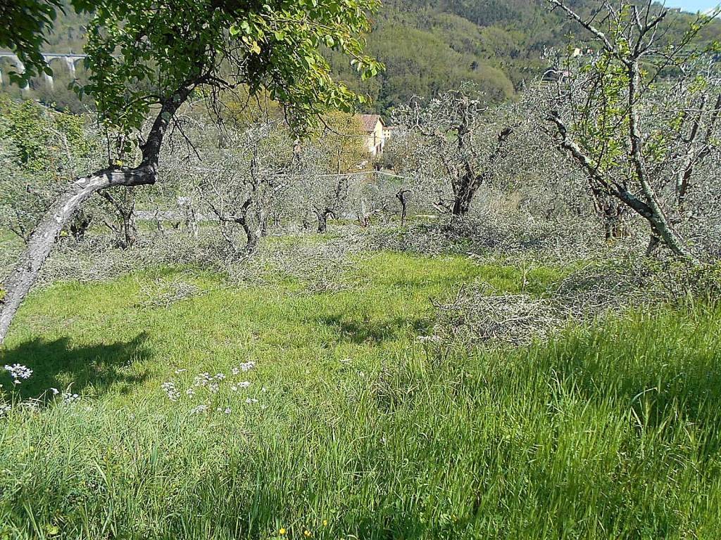 Terreno a Pistoia in Via di Vignoli - Foto 3