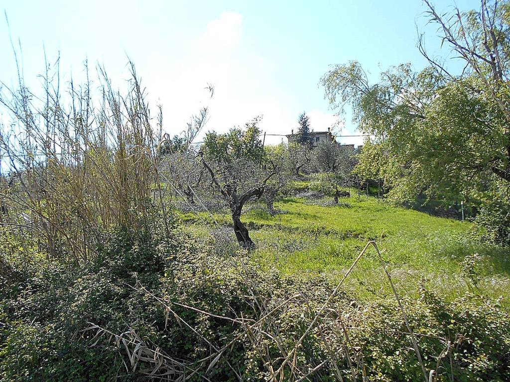 Terreno a Pistoia in Via di Vignoli - Foto 4