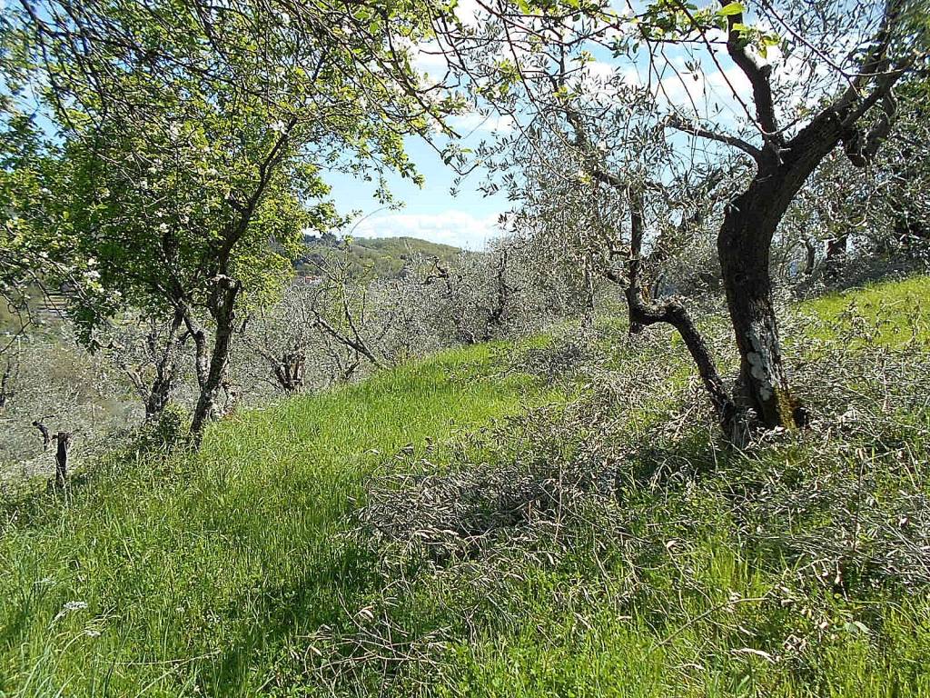 Terreno a Pistoia in Via di Vignoli - Foto 5