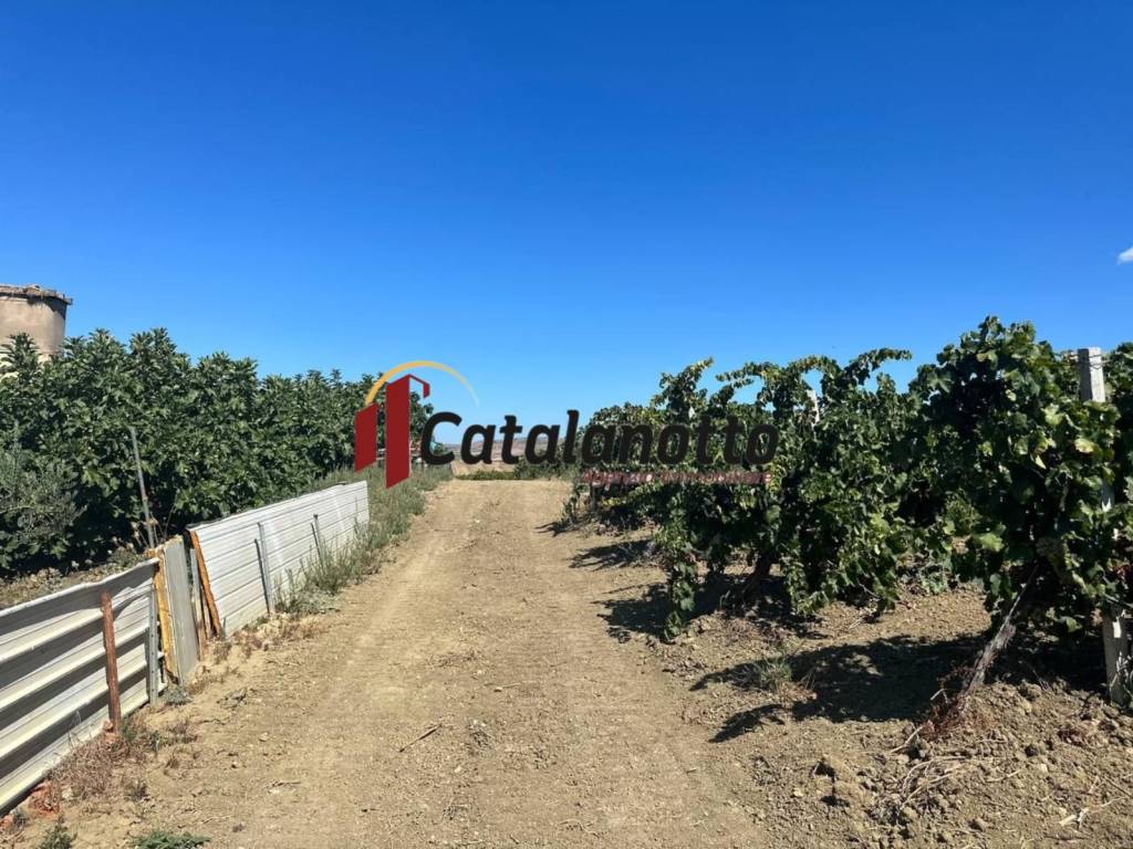 Terreno a Santa ninfa in Strada Provinciale di Castelvetrano - Foto 3