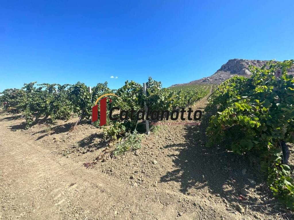 Terreno a Santa ninfa in Strada Provinciale di Castelvetrano - Foto 5