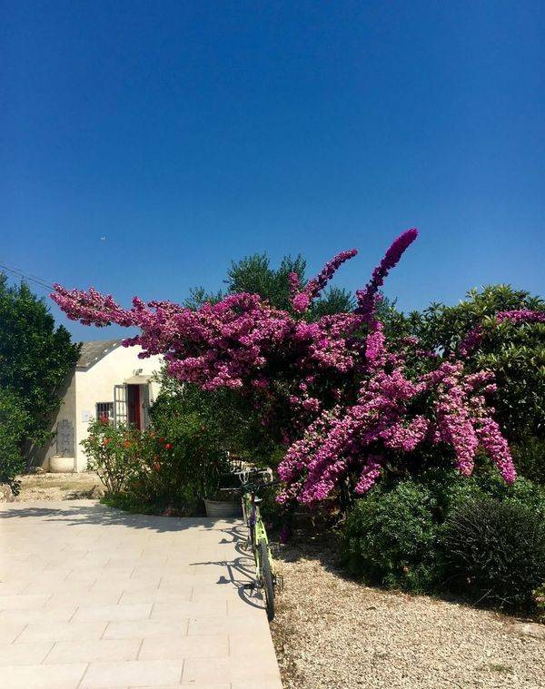 Rustico / casale a Ceglie messapica in Contrada Scuole Pie - Foto 5