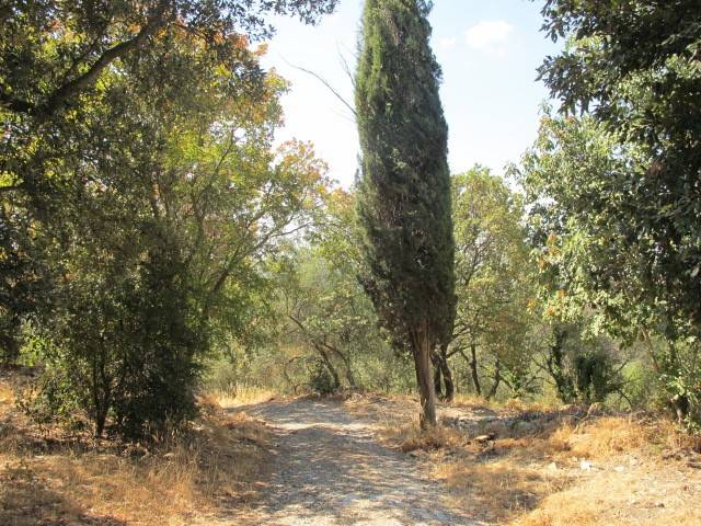 Rustico / casale a Monterotondo marittimo - Foto 2