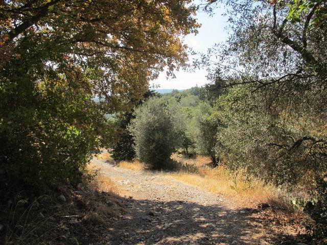 Rustico / casale a Monterotondo marittimo - Foto 3