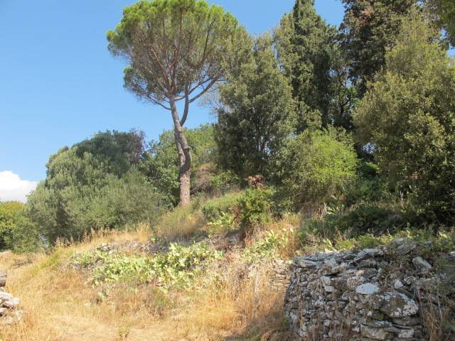 Rustico / casale a Monterotondo marittimo - Foto 4