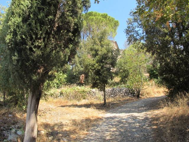 Rustico / casale a Monterotondo marittimo - Foto 5