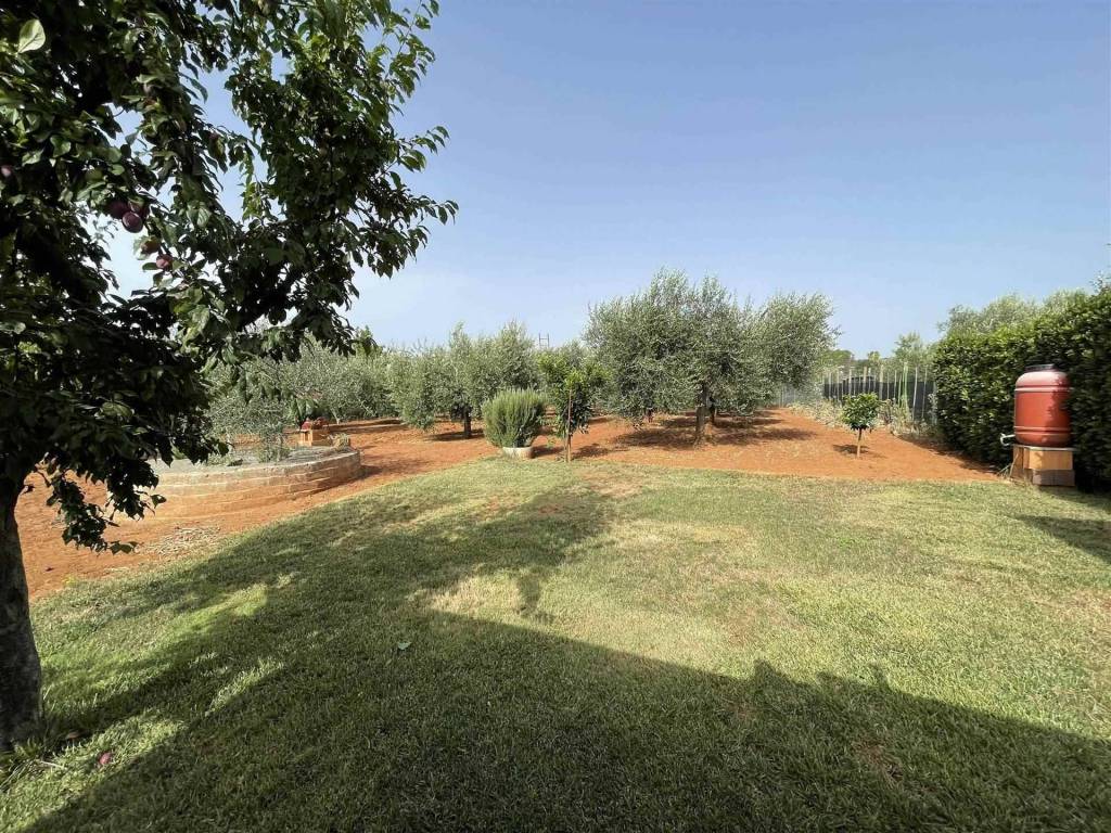 Terreno a Follonica - Foto 4