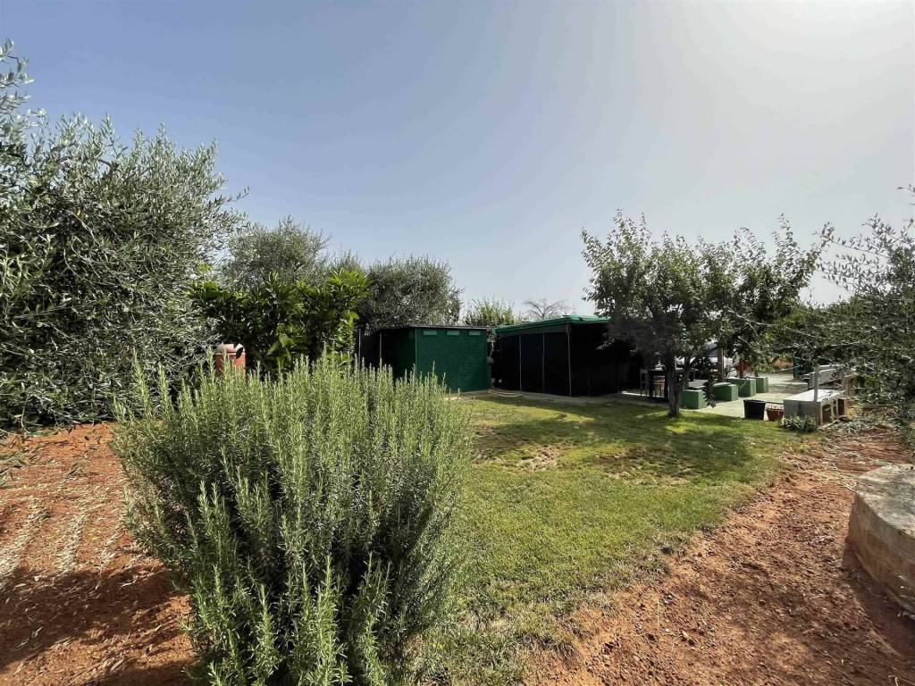 Terreno a Follonica - Foto 5