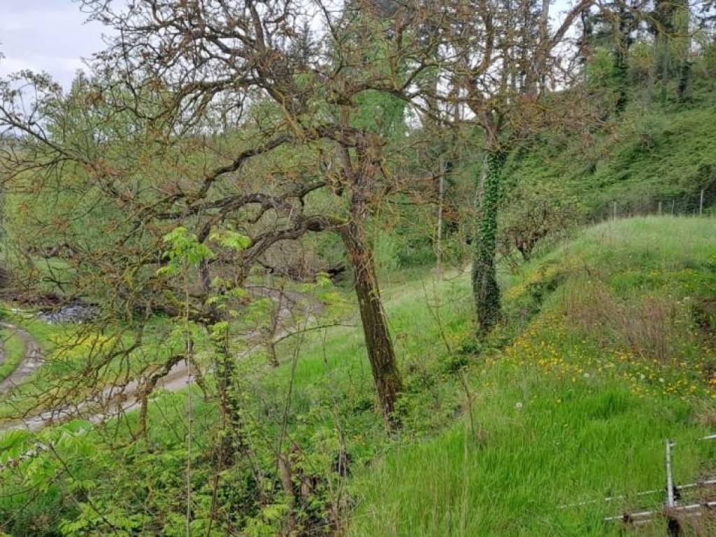 Rustico / casale a Barberino di mugello in galliano - Foto 3