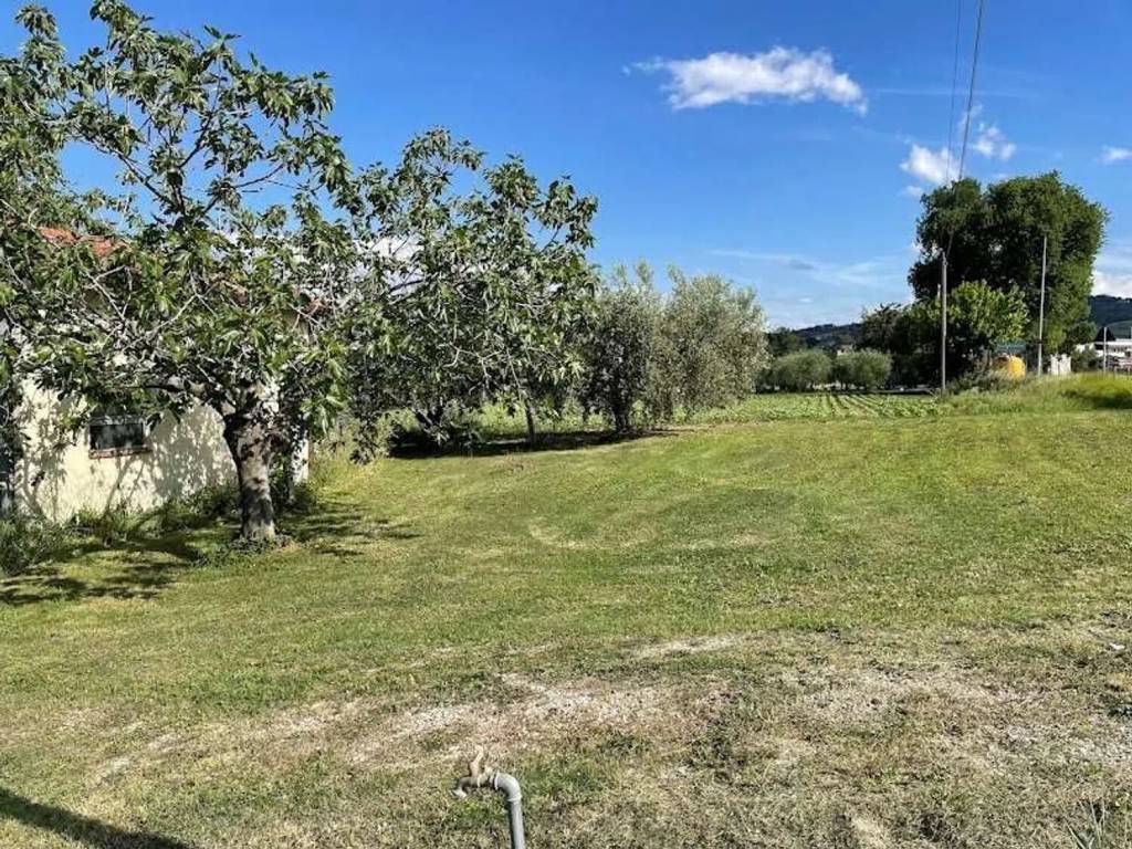 Terreno a San paolo di jesi - Foto 4