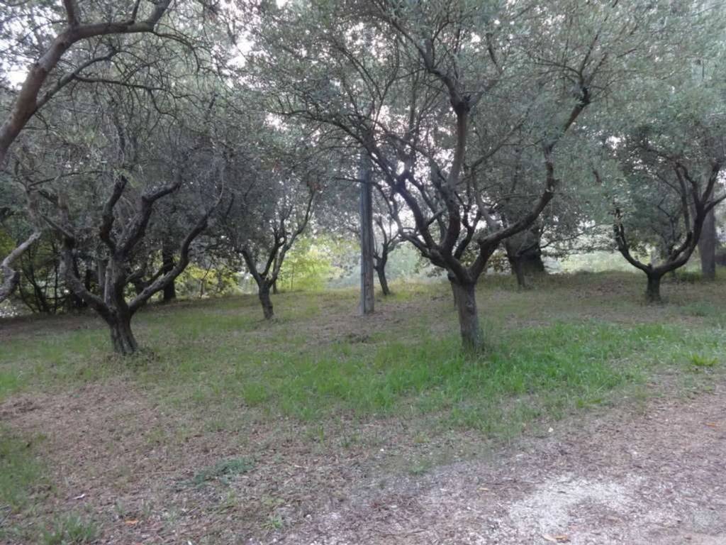 Villa a Maiolati spontini - Foto 2