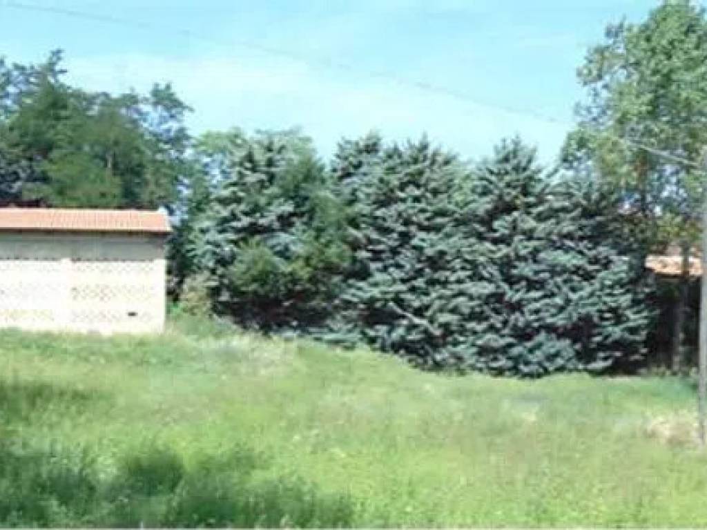 Rustico / casale a Belvedere ostrense - Foto 3