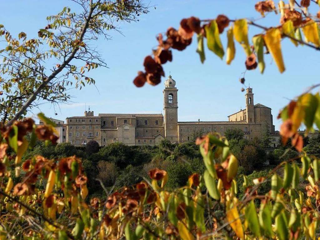 Immobile a Castelfidardo - Foto 5