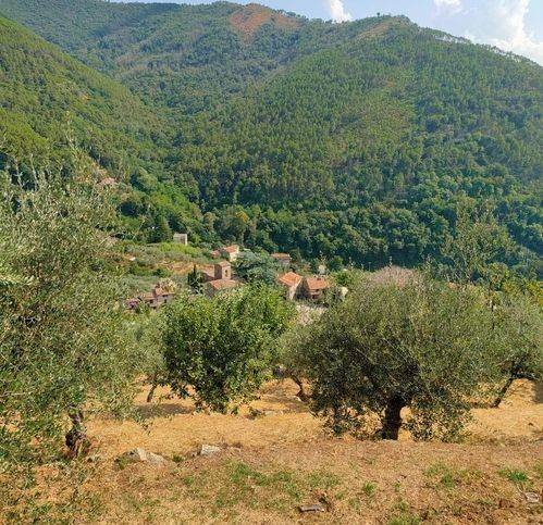 Rustico / casale a Calci in Via Vecchia Di Tre Colli - Foto 2