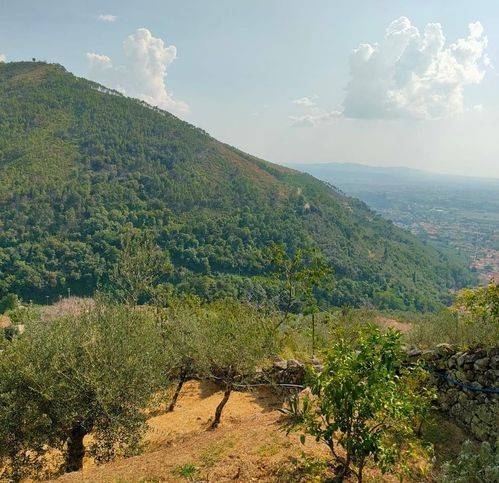 Rustico / casale a Calci in Via Vecchia Di Tre Colli - Foto 3