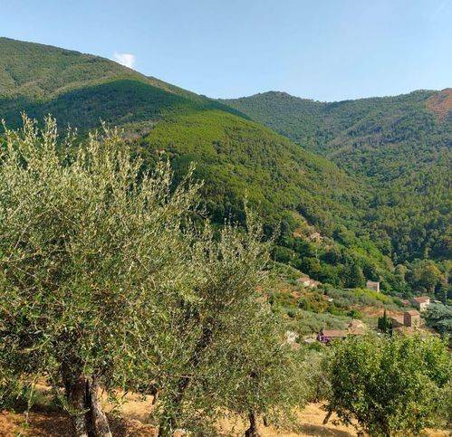 Rustico / casale a Calci in Via Vecchia Di Tre Colli - Foto 4