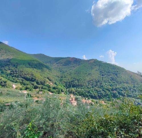 Rustico / casale a Calci in Via Vecchia Di Tre Colli - Foto 5