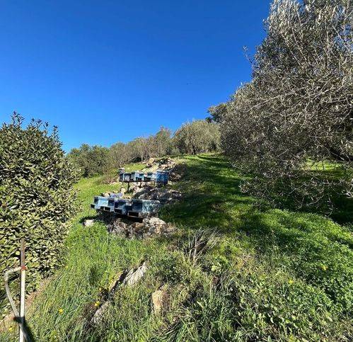 Terreno a Civitavecchia in Strada Della Ficoncella - Foto 3