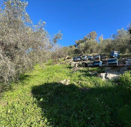 Terreno a Civitavecchia in Strada Della Ficoncella - Foto 4