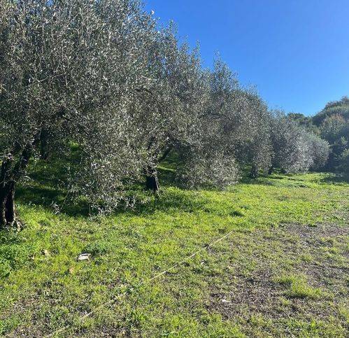 Terreno a Civitavecchia in Strada Della Ficoncella - Foto 5