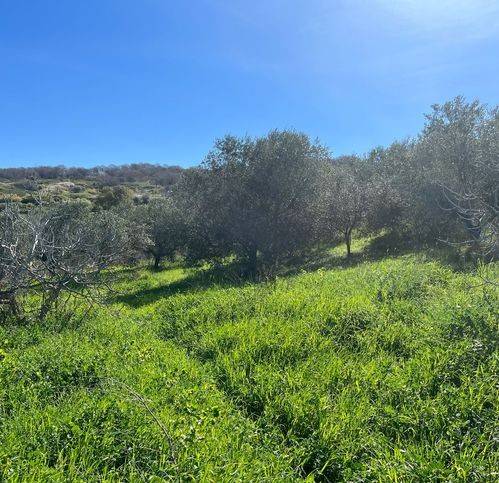 Terreno a Civitavecchia in Via Andrea Moneta - Foto 2