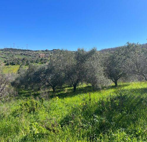 Terreno a Civitavecchia in Via Andrea Moneta - Foto 3