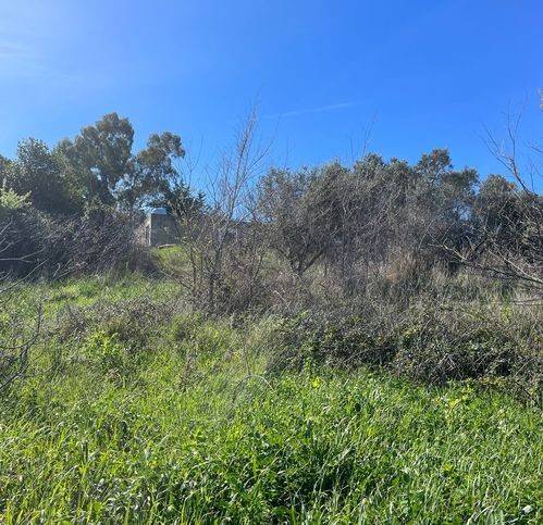 Terreno a Civitavecchia in Via Andrea Moneta - Foto 4