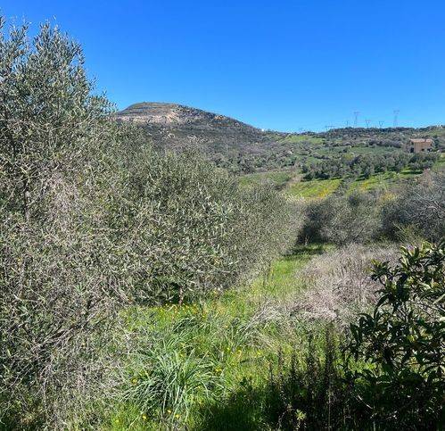Terreno a Civitavecchia in Via Andrea Moneta - Foto 5