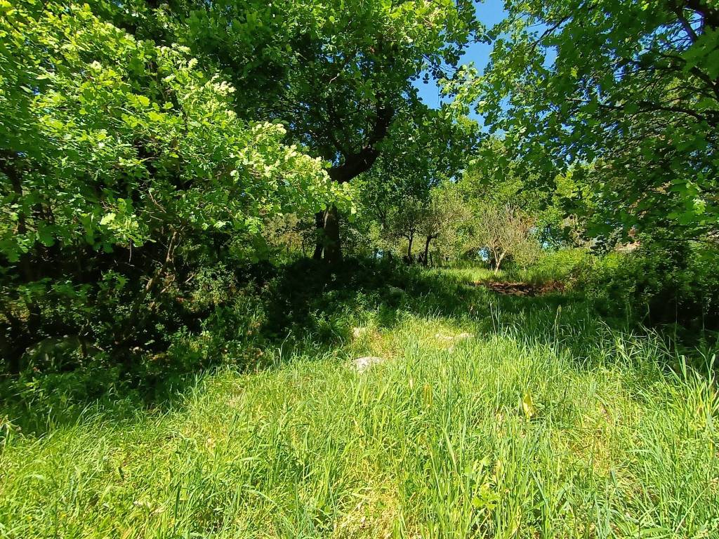 Terreno a Airola in Via Monticello - Foto 4