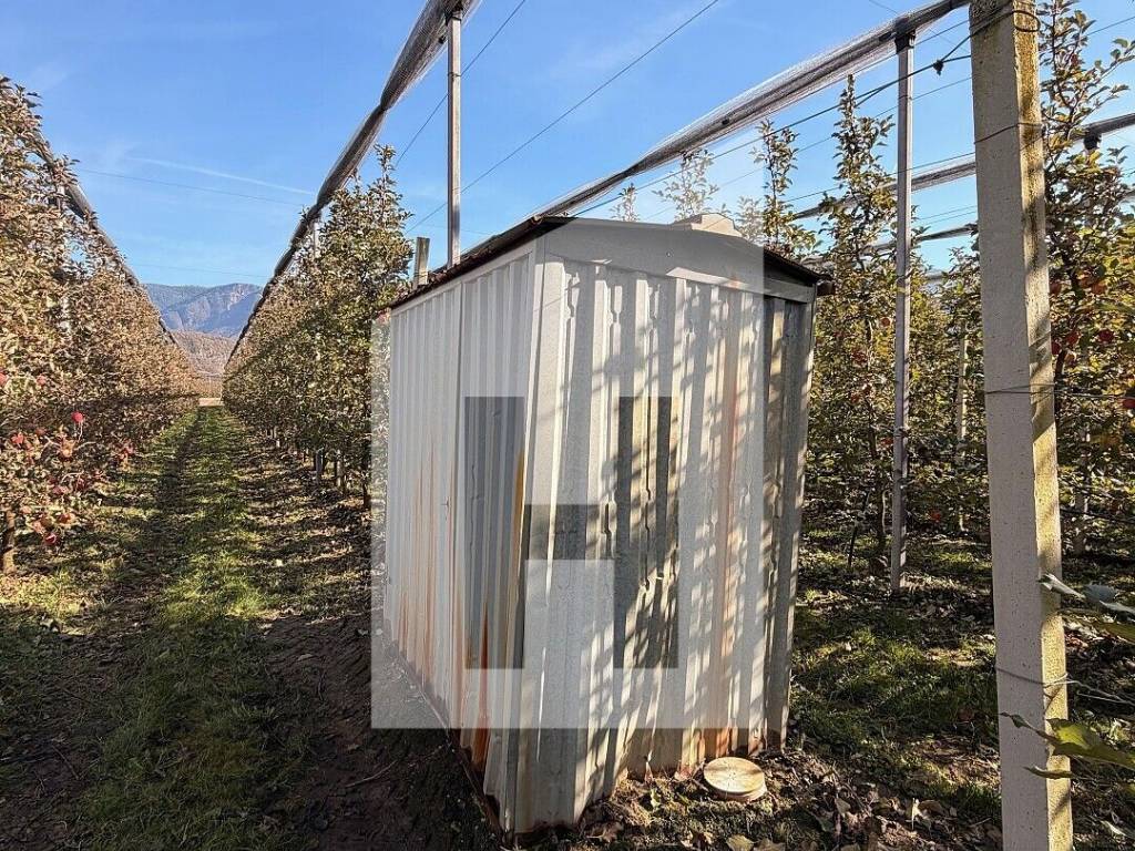 Terreno a Caldaro sulla strada del vino - Foto 3