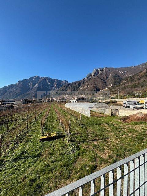 Terreno a Avio - Foto 4