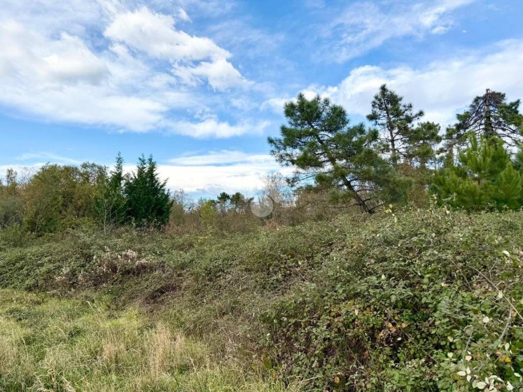 Terreno a Altopascio in Via Cavour, 27 - Foto 5