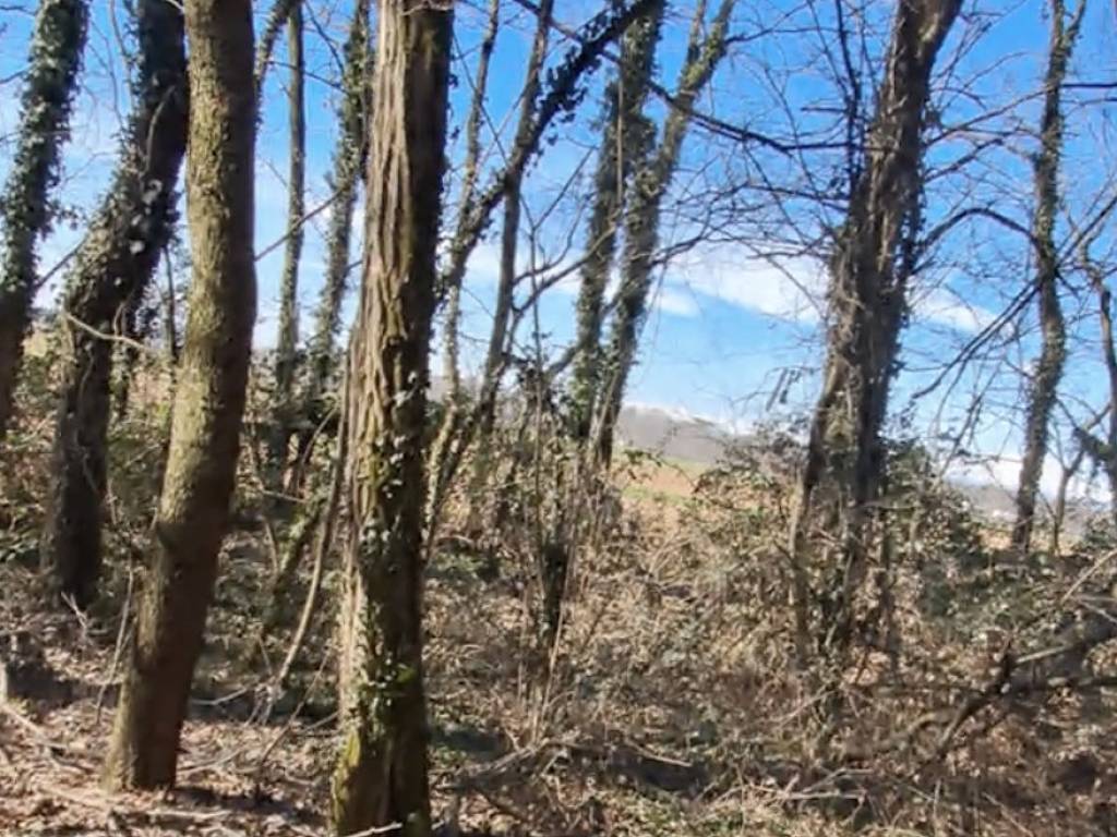 Terreno a Cairate - Foto 4